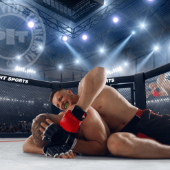 Kurs instruktora MMA online Polski Instytut Trenerski